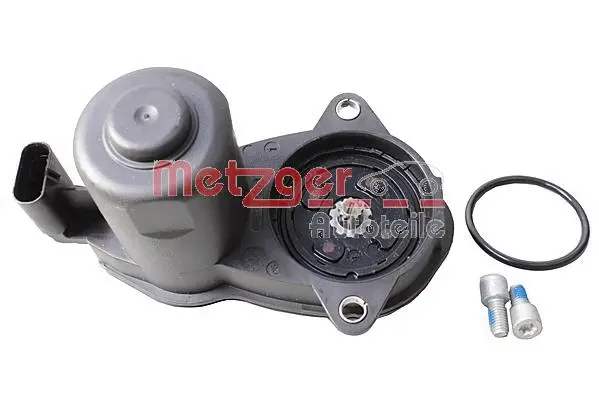 Control Element, parking brake caliper (0899275)