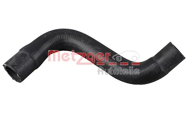 Radiator Hose (2420351)