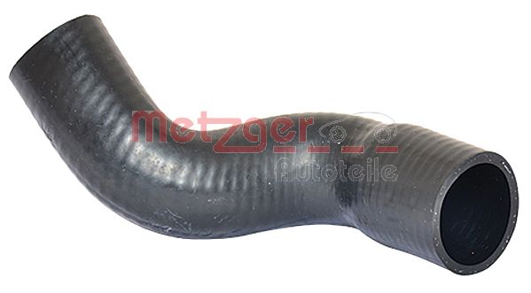 Radiator Hose (2420154)