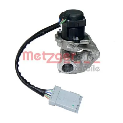 EGR Valve (0892007)