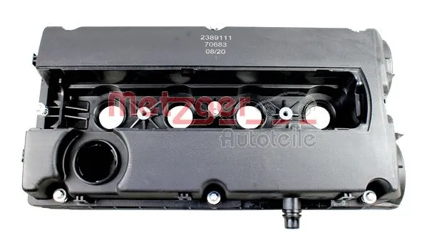 Cylinder Head Cover (2389111)