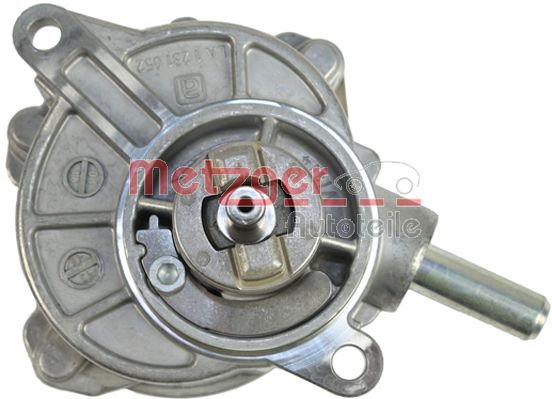 Vacuum Pump, braking system (8010041)