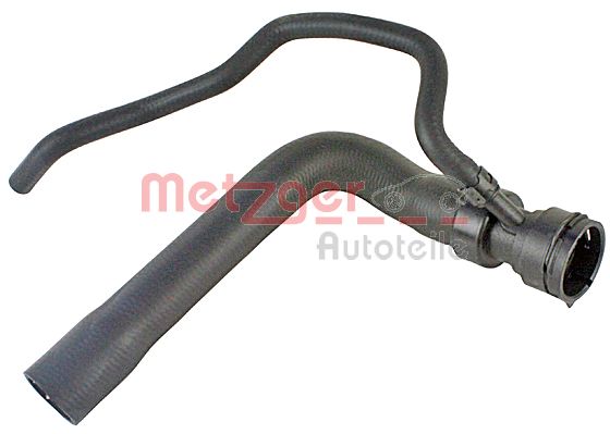 Radiator Hose (2420758)