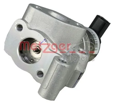 EGR Valve (0892720)