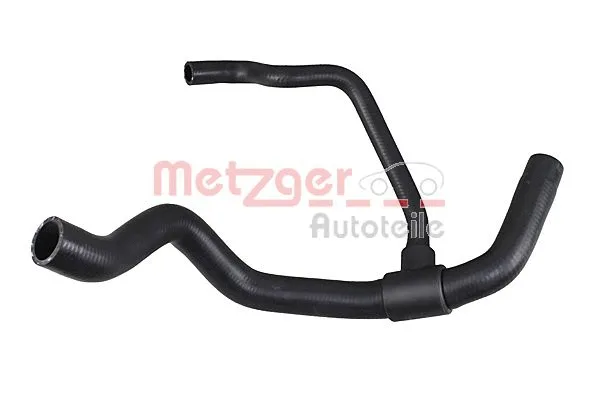 Radiator Hose (2421384)