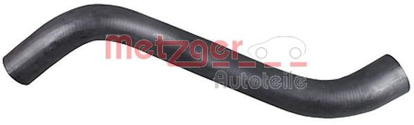 Radiator Hose (2421018)