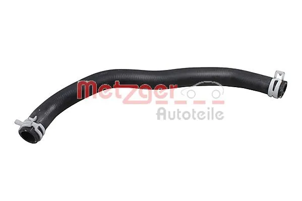 Radiator Hose (2421321)
