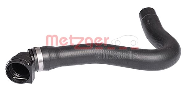 Radiator Hose (2420233)