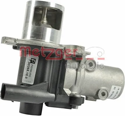 EGR Valve (0892177)