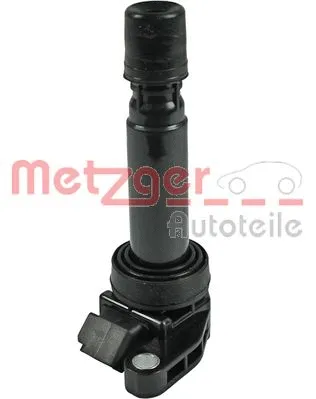 Ignition Coil (0880418)