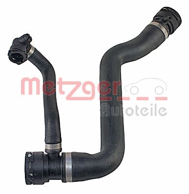 Radiator Hose (2420509)