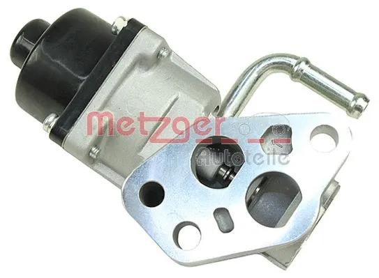 EGR Valve (0892691)