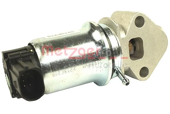 EGR Valve