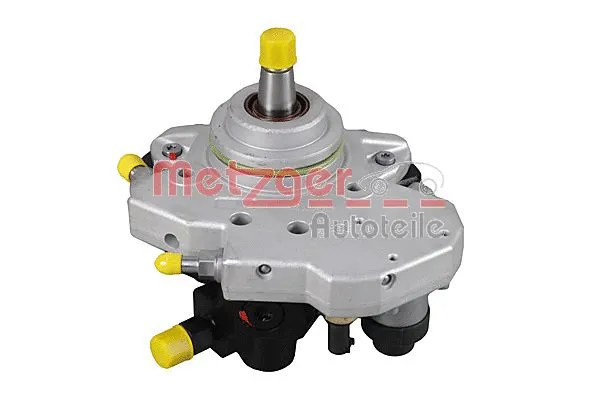 High Pressure Pump (0830098)