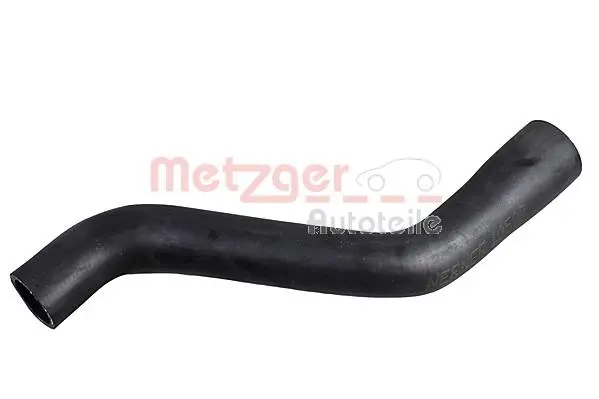 Radiator Hose (2420990)