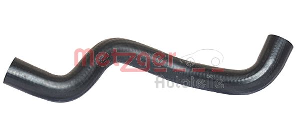 Radiator Hose (2420042)