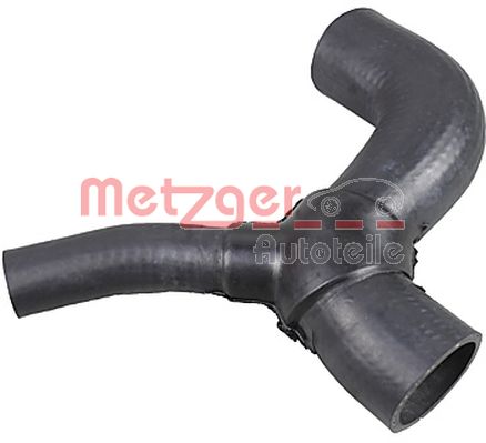 Radiator Hose (2421026)