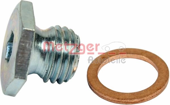 Screw Plug, oil sump (8030010)
