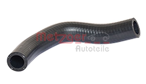 Radiator Hose (2420151)