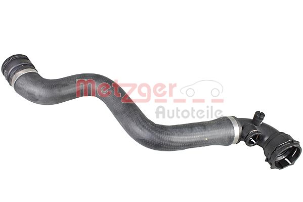 Radiator Hose