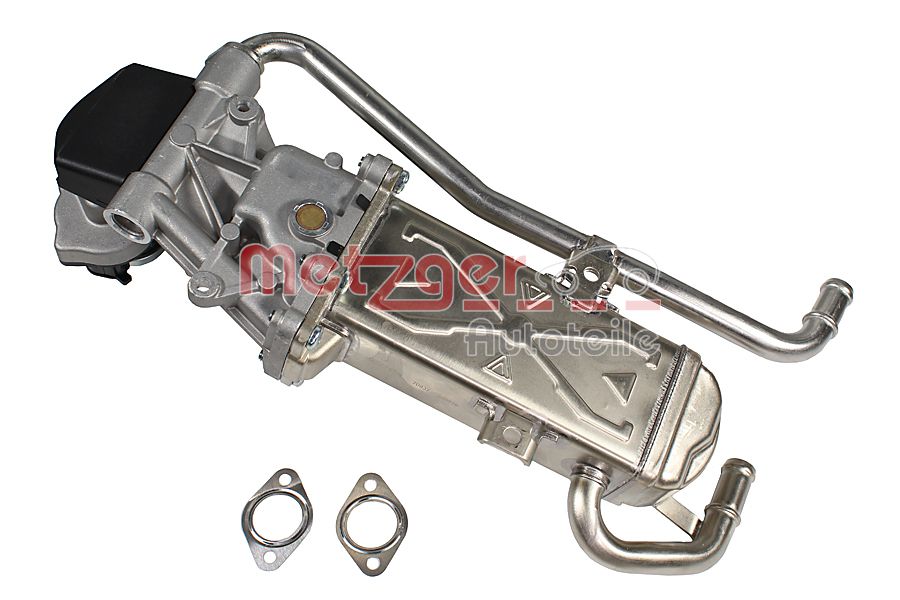 EGR Module