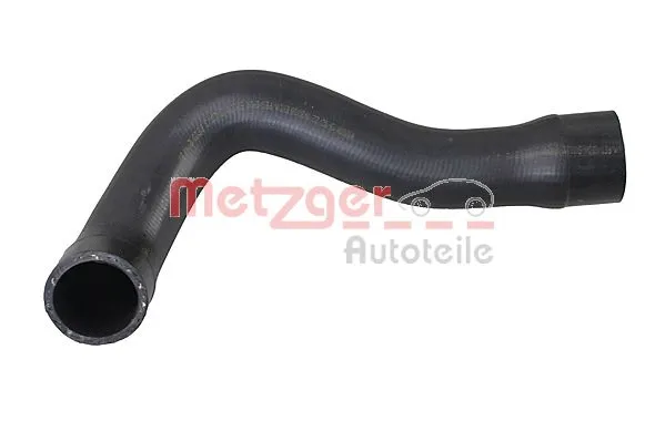 Radiator Hose (2421383)