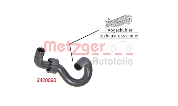 Radiator Hose (2420090)