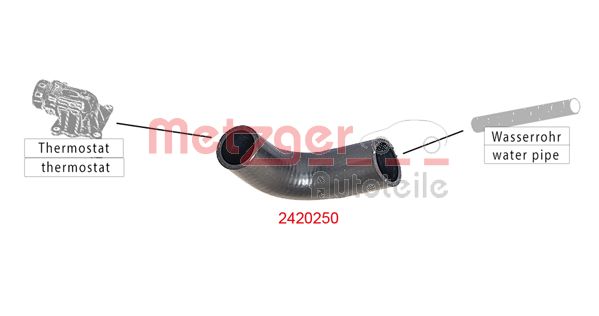 Radiator Hose (2420250)