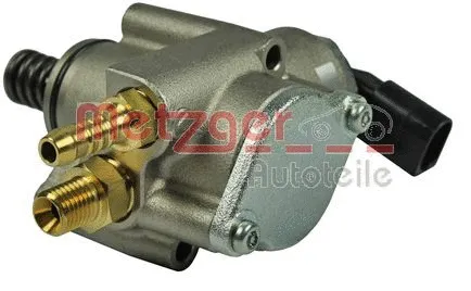 High Pressure Pump (2250139)