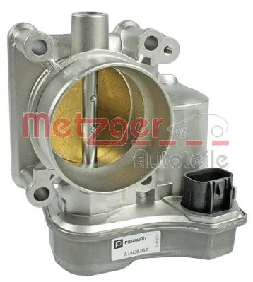 Throttle Body