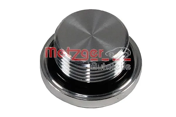 Screw Plug, transmission housing