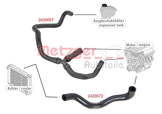 Radiator Hose (2420072)