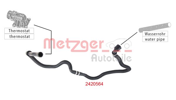 Radiator Hose (2420564)