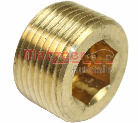 Screw Plug, oil sump (8030011)