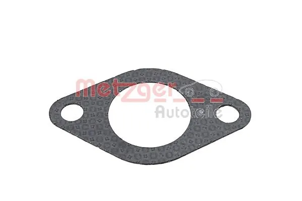 Gasket, EGR valve (0899224)