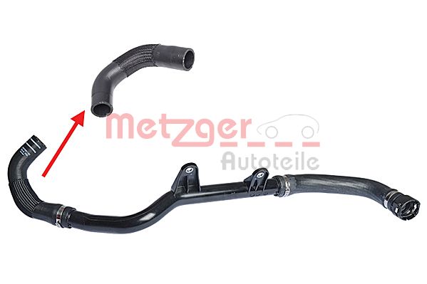 Radiator Hose (2420353)