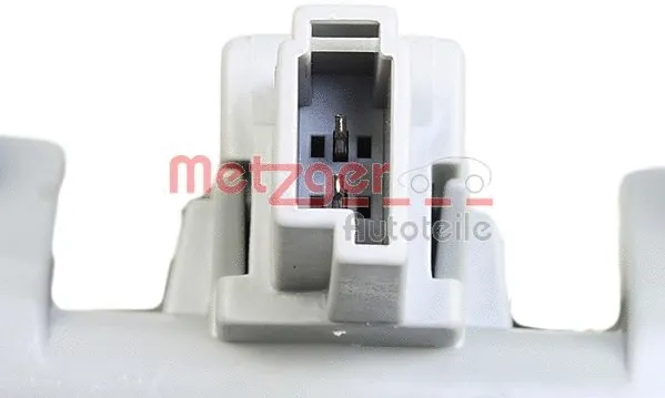 Tailgate Handle (2310581)