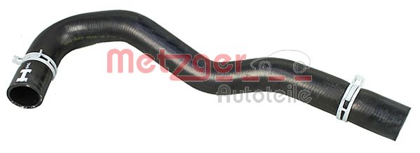 Radiator Hose (2420738)