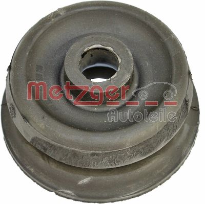 Suspension Strut Support Mount (6490116)