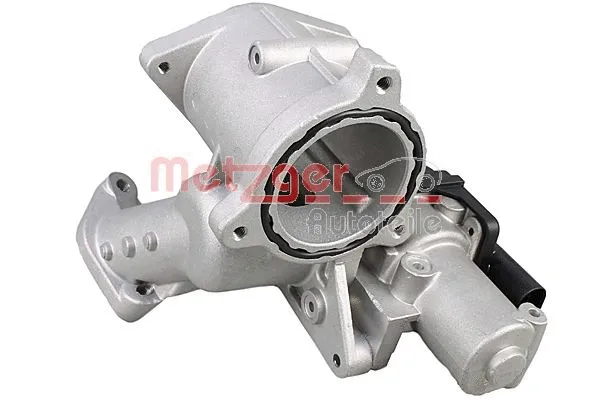 EGR Module
