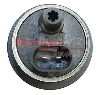 Fuel Pump (2250038)