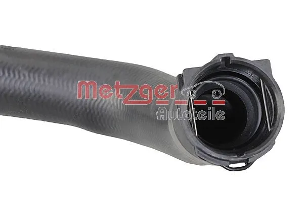 Radiator Hose