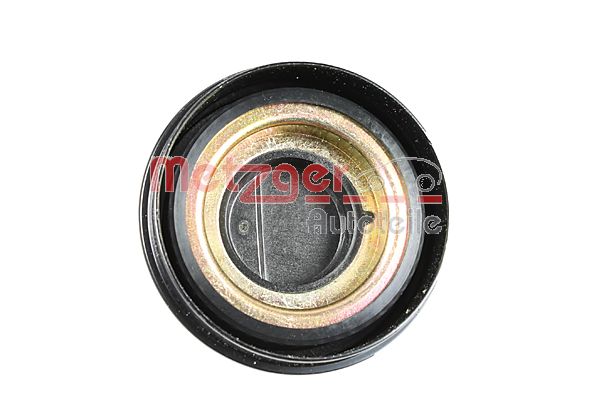 Sensor, wheel speed (09001129)