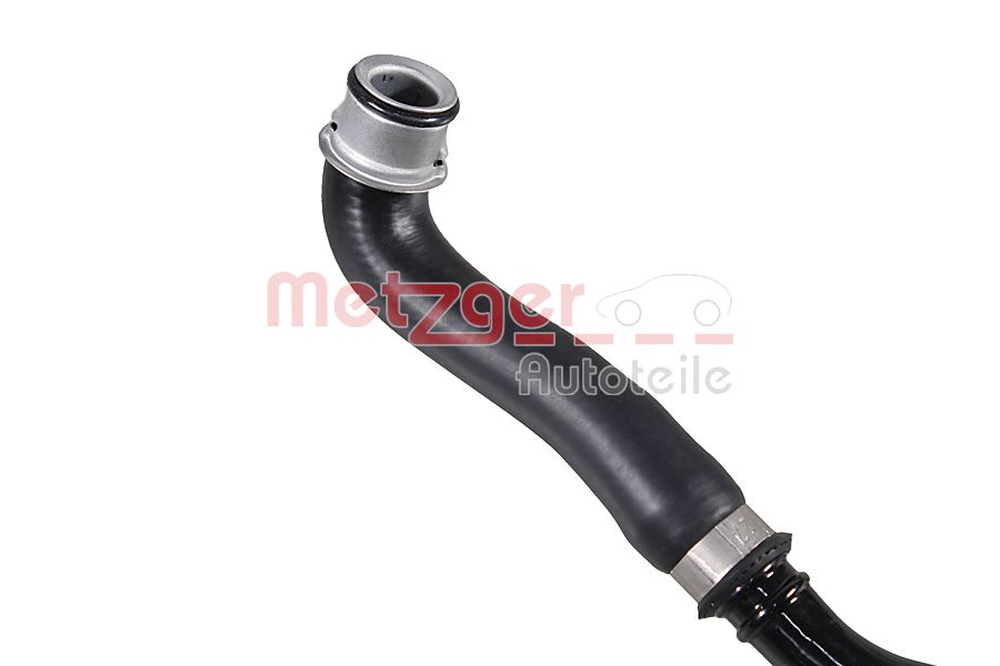 Radiator Hose