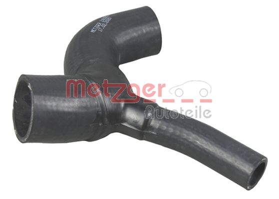 Radiator Hose (2420816)