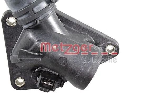 Radiator Hose