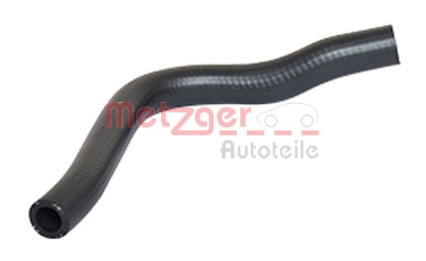 Radiator Hose