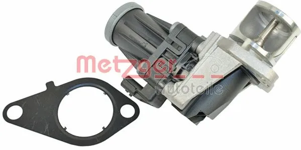 EGR Valve (0892398)