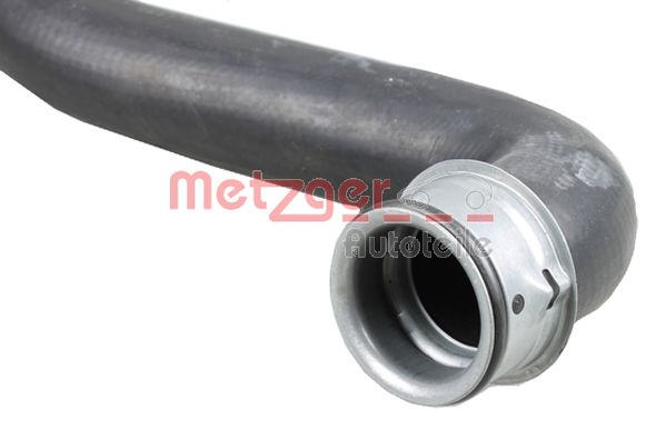 Radiator Hose