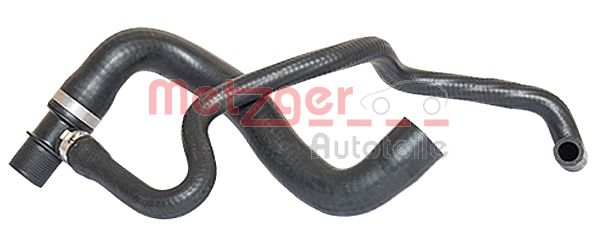 Radiator Hose